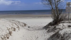 A beach with a sandy path leading to the water, a signpost, and sparse vegetation. - Lissis Apartment in Karlshagen (Karlshagen)