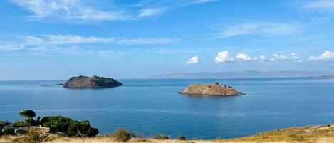 A coastal landscape with two small islands in the distance, a clear sky, and dry grass in the foreground.