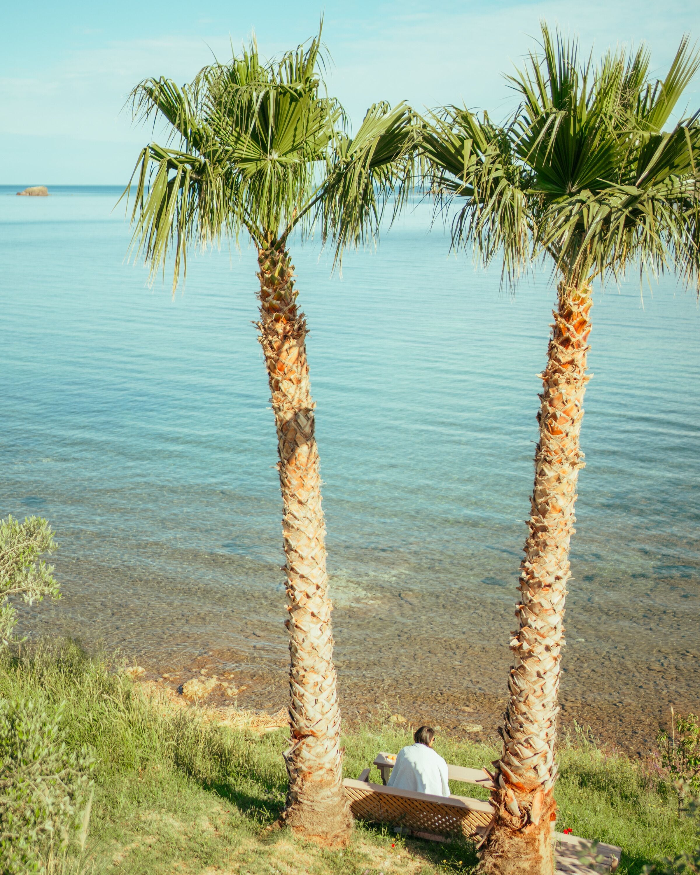Two palm trees by a clear body of water with a person sitting on a bench.