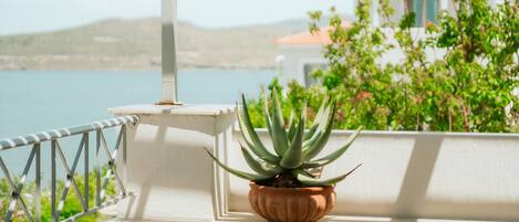 A balcony with a potted plant, a railing, and a view of a body of water and buildings in the background.