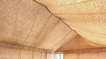 Tent | Free WiFi
