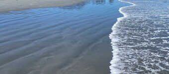 ~TIDES at Carters~
Modern Beachside Studio next to beach, domain, coastal trail.