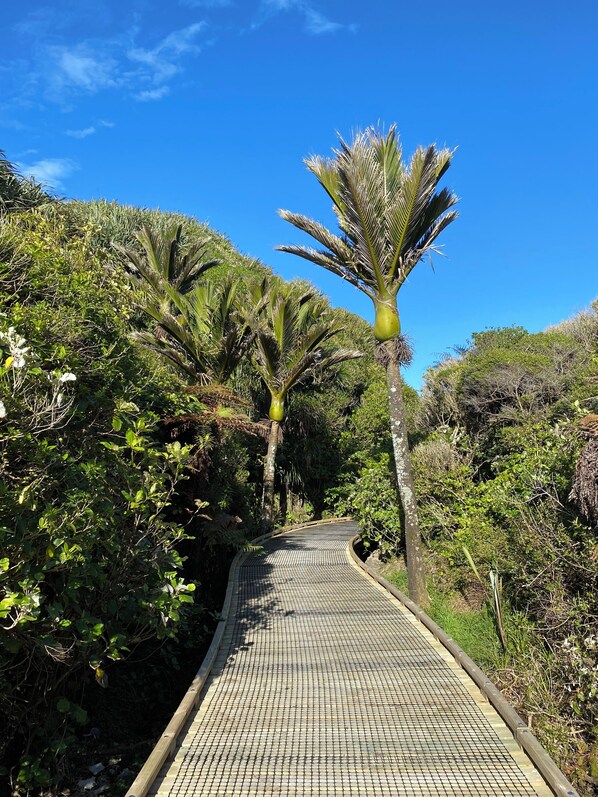 Image sans description, 1 de 16, bouton