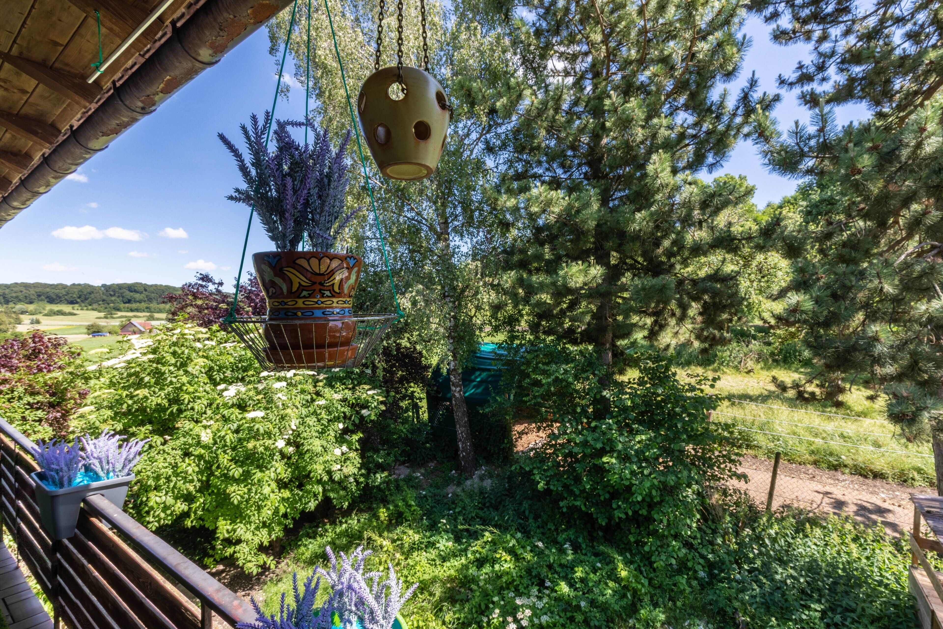 A garden with a hanging pot, a wooden bench, and a view of trees and a distant landscape.