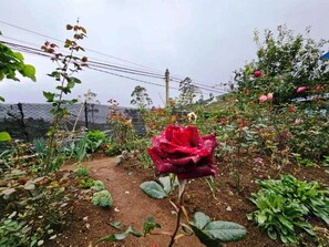 Nicht klassifiziertes Bild, 3 von 42, Schaltfläche