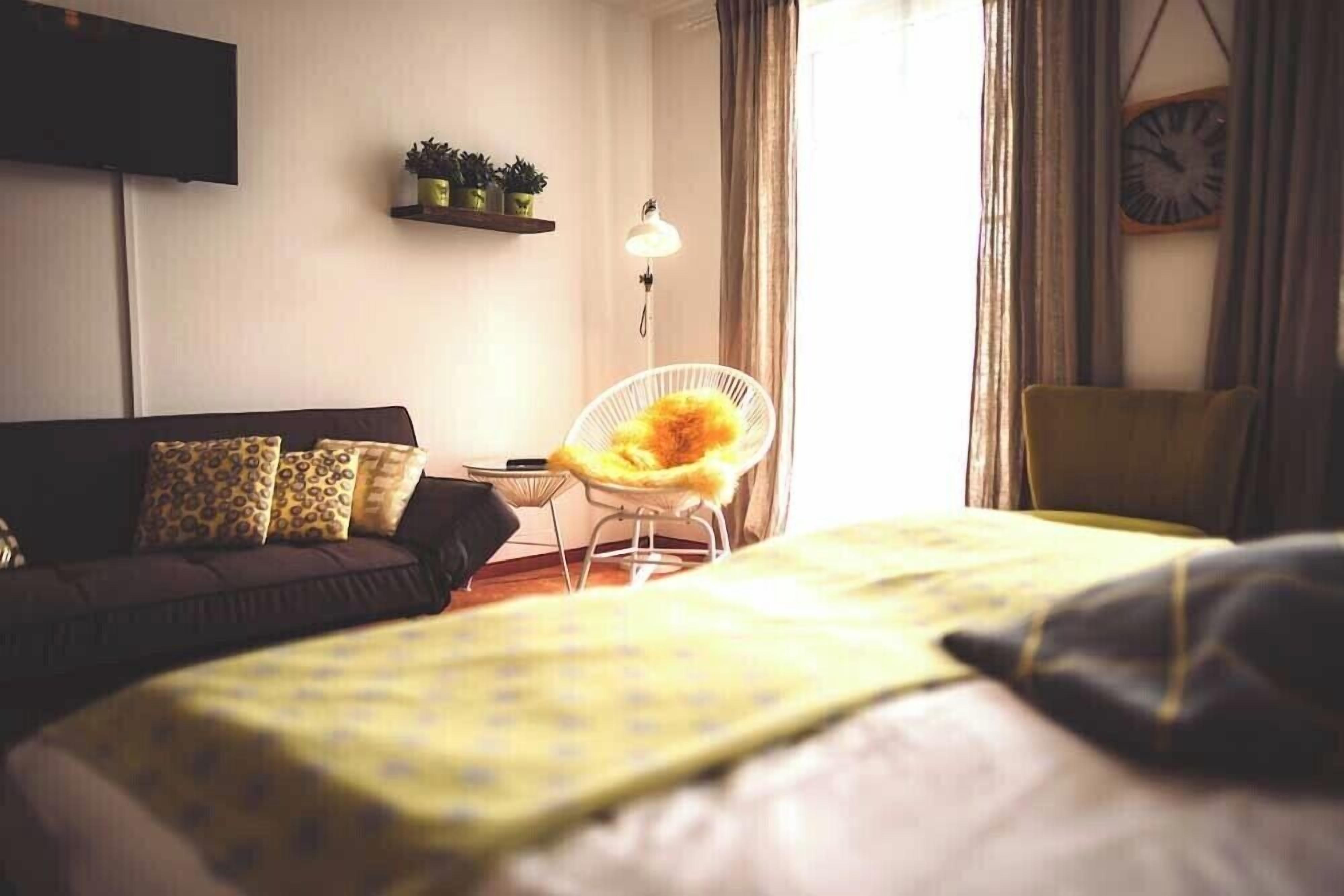 Quarto de hotel com cama, sofá, poltrona, televisão e prateleira com plantas.