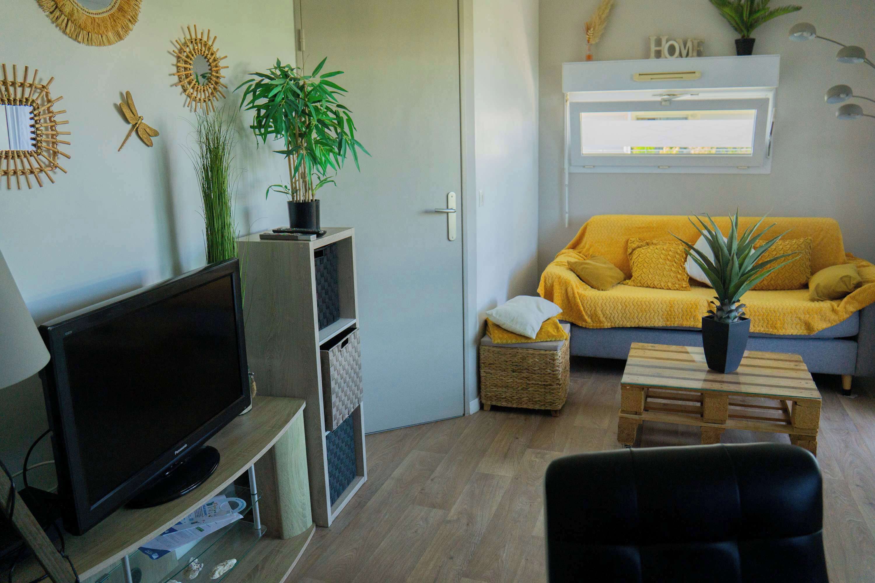 TV