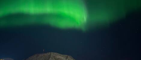 Appartement, 1 chambre | Extérieur