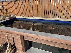Un bassin à carpes koï, entouré d’une clôture en bois et agrémenté d’un banc.