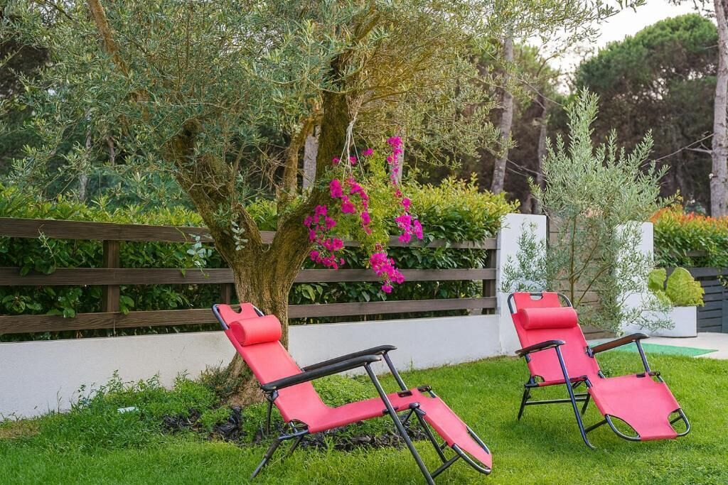 Dos sillones rojos ubicados bajo un árbol de flores rosadas, con un cerco de madera y follaje al fondo.