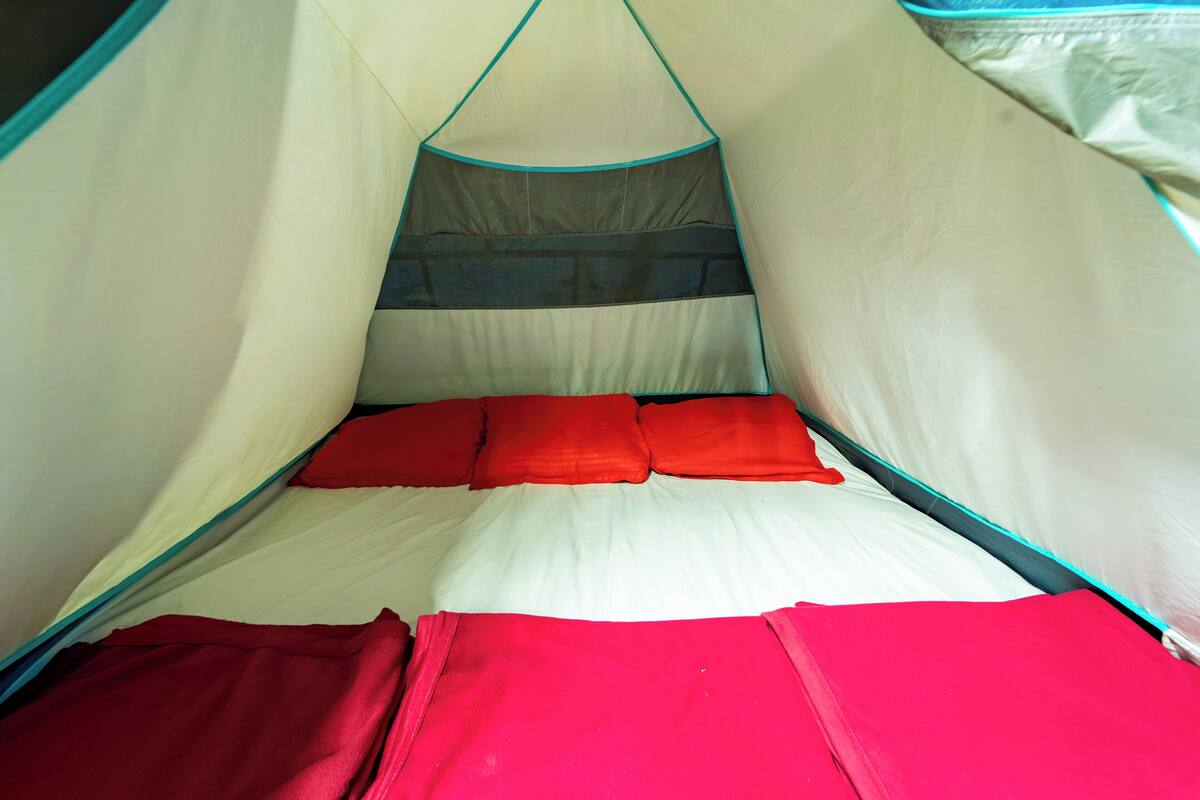 A tent with a bed inside, featuring a striped canopy and red bedding.