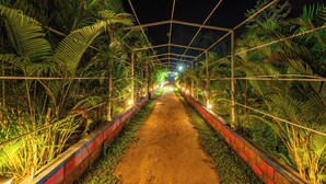 A pathway flanked by palm trees and illuminated by lights, leading through a structure with a geometric framework. - Dandeli River Resort (Dandeli)