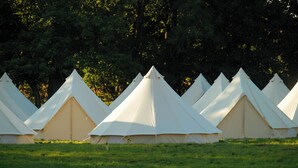 Une rangée de tentes blanches est disposée dans un champ, avec de l’herbe verte et des arbres en arrière-plan.