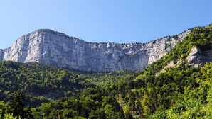 A mountainous landscape with a prominent rocky cliff and dense forest. - Gite du Souillet à la Ferme (Noyarey)