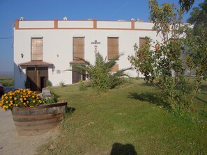 Garden - Traditional Andalusian Farmhouse Near Cordoba (Moriles)