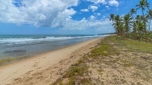 A beach with a sandy shore, palm trees, and a clear sky. - Cais Eco #310 - Ape com Piscina por Carpediem (Ipojuca)