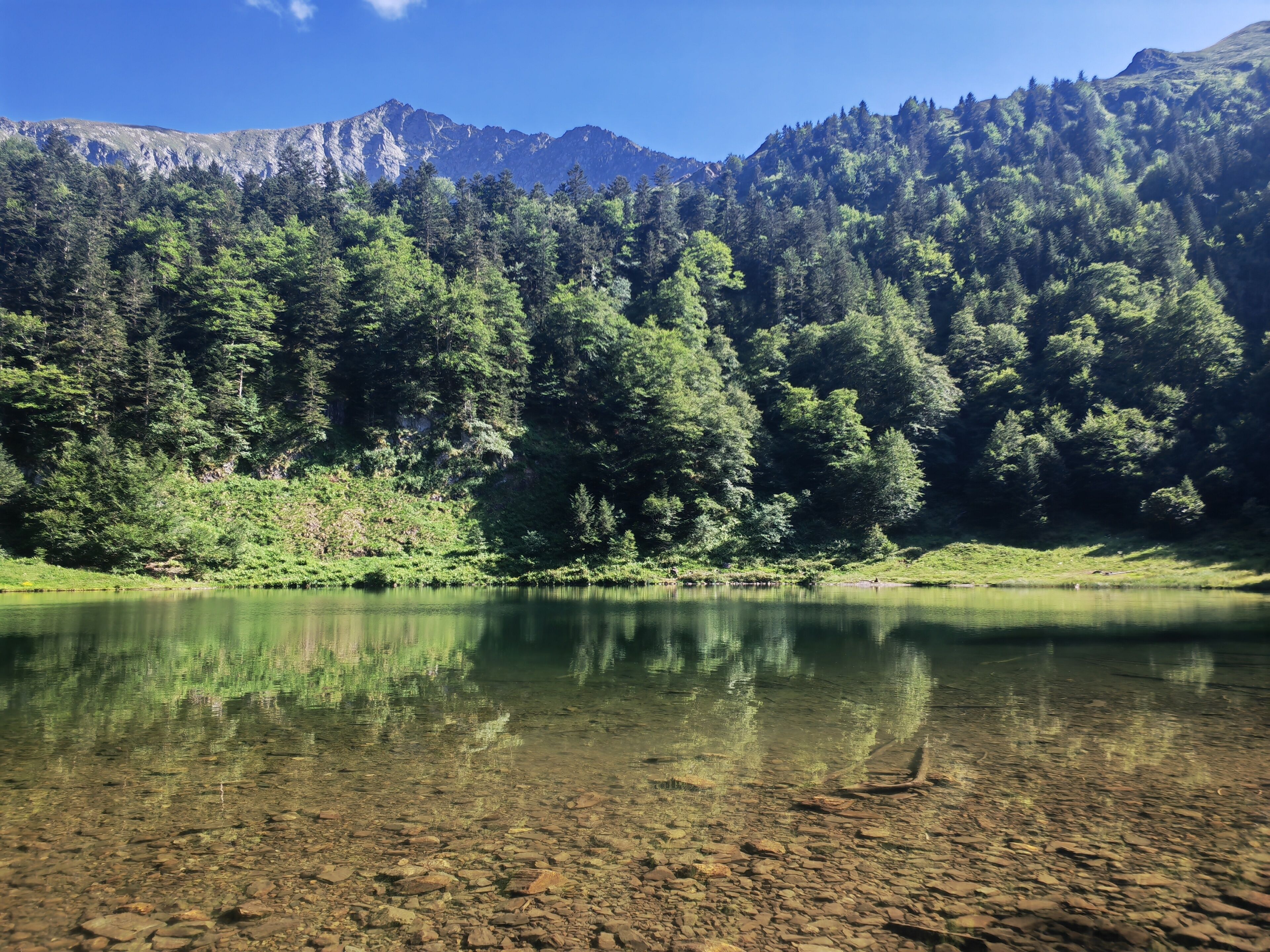 A clear lake with rocky shore and dense forest.