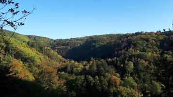 Una vall boscosa amb un cel serè.