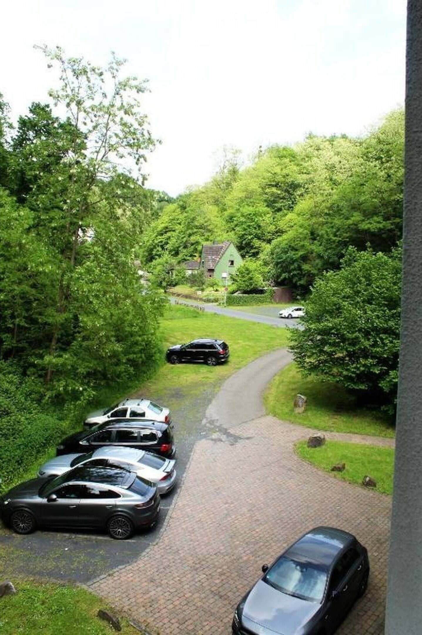 A driveway leading to a house surrounded by lush greenery.