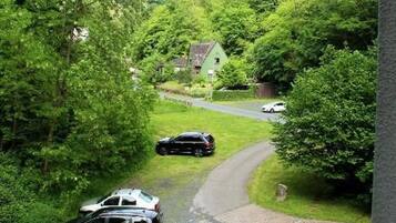 A driveway leading to a house surrounded by lush greenery.