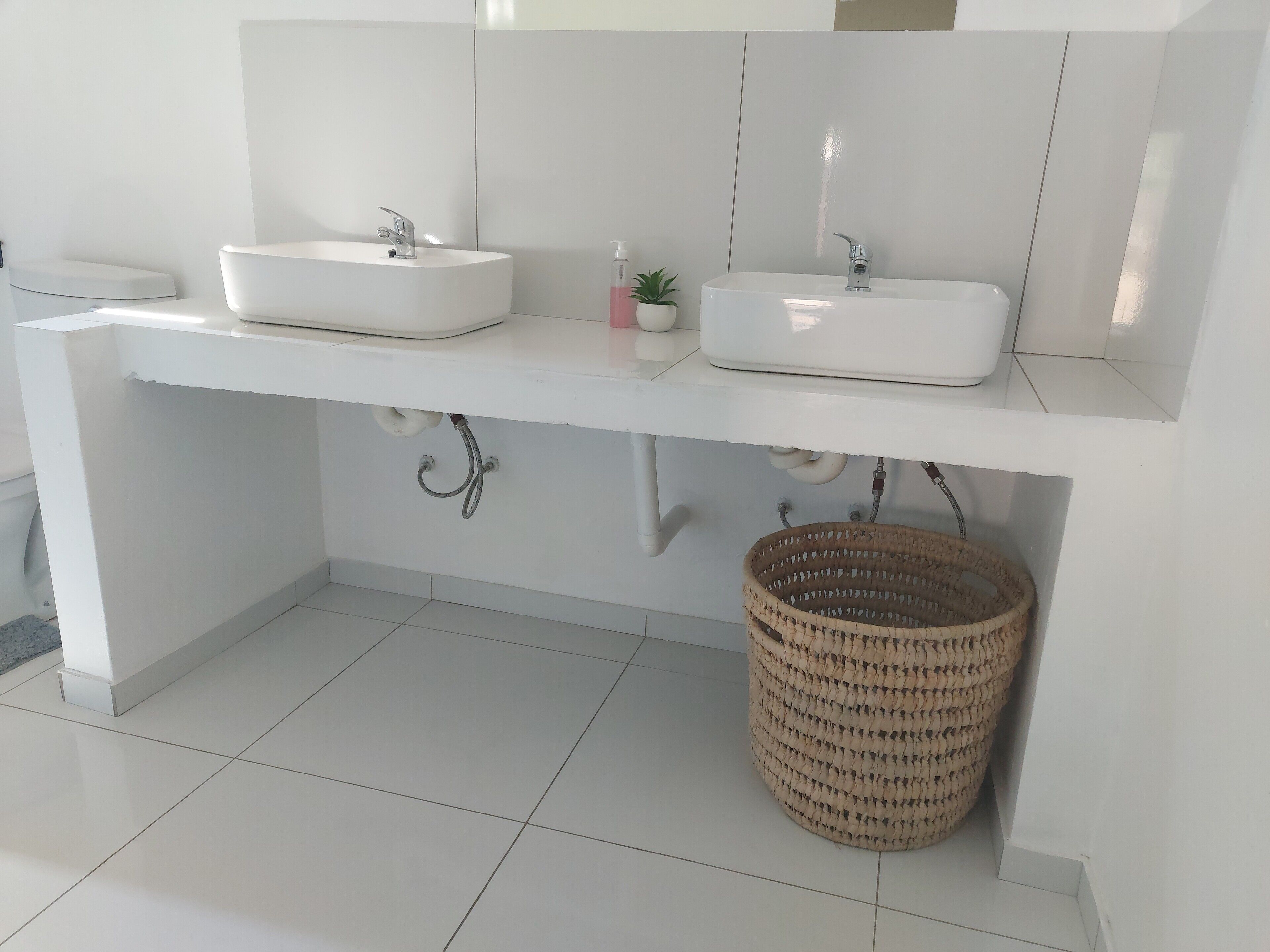 Un baño moderno con dos lavamanos blancos, una planta pequeña en maceta y una cesta tejida debajo del mueble.