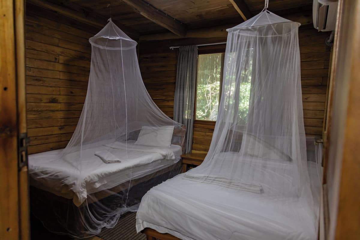 Deux lits simples, équipés de moustiquaires, dans une cabine aux murs en bois et dotée d’une fenêtre.