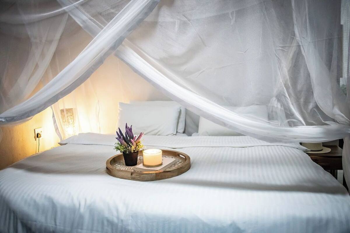 Un lit bien fait, recouvert d’une courtepointe blanche, une table de chevet avec une bougie et une plante, et un baldaquin au-dessus du lit.