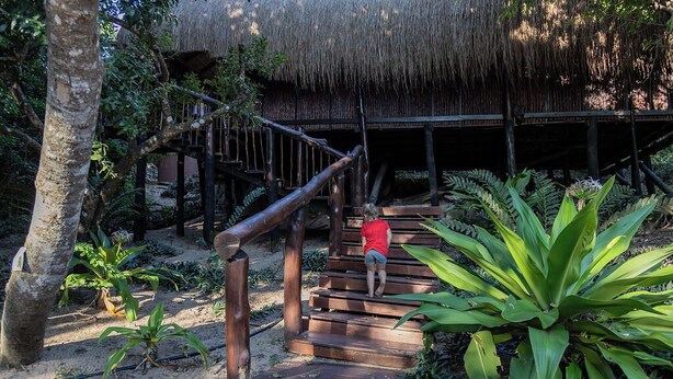 Una escalera de madera que lleva a una estructura con techo de paja rodeada de plantas tropicales.