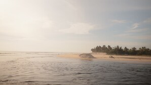 Una playa con aguas tranquilas, una orilla arenosa y una hilera de árboles al fondo.