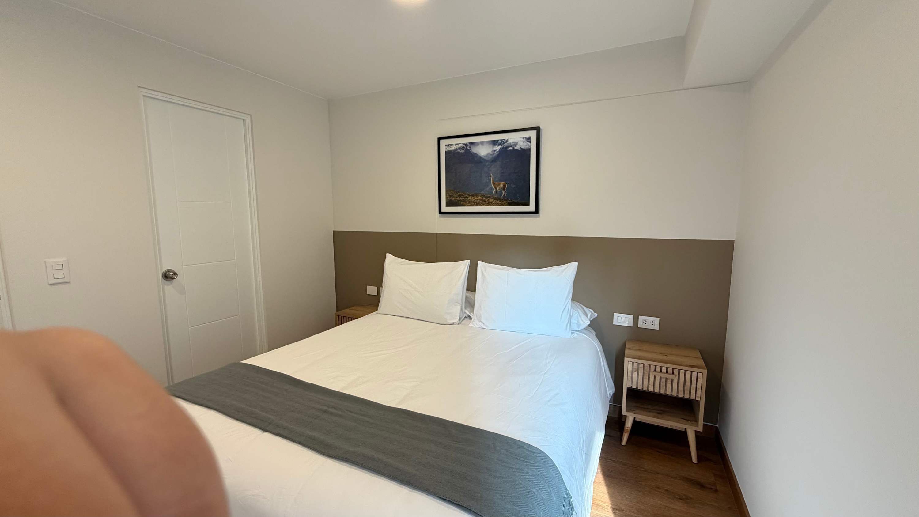 Une chambre à coucher avec un lit, une table de chevet, une porte et un tableau encadré au mur.