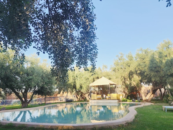 Comfort Double Room, Balcony, Garden View | Pool