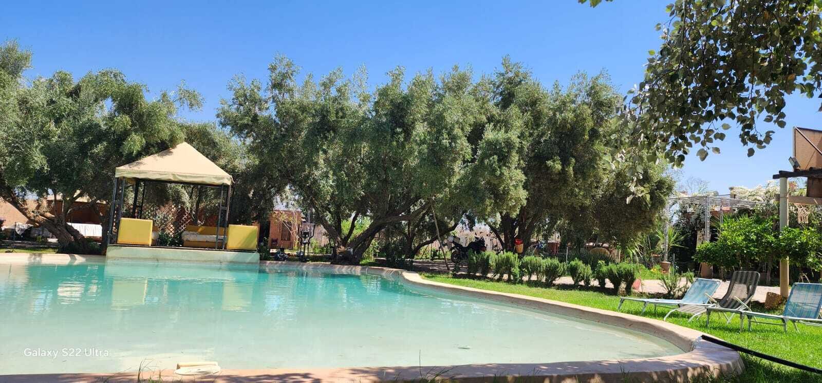 Ein Poolbereich mit einem Pavillon, Liegestühlen und Bäumen.