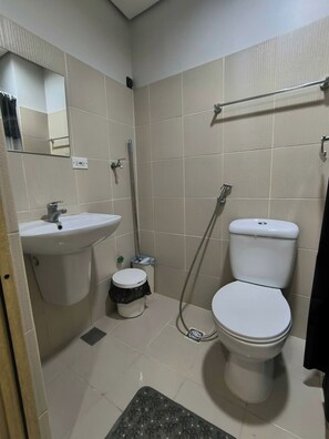 Ducha, secador de pelo, toallas, papel higiénico