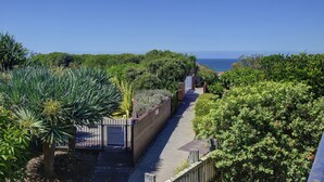 A pathway leading to a beach with dense greenery and a clear blue sky. - Diamond Beach Beachfront Family Apt (Diamond beach)
