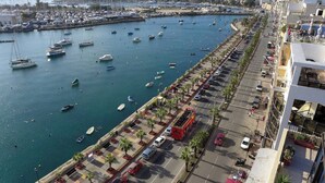 Una marina con numerose imbarcazioni ormeggiate lungo un lungomare fiancheggiato da auto parcheggiate e palme.