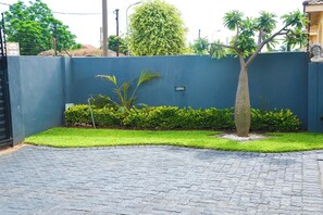 A paved driveway leading to a gated entrance with a blue wall, a small palm tree, and a well-maintained hedge.