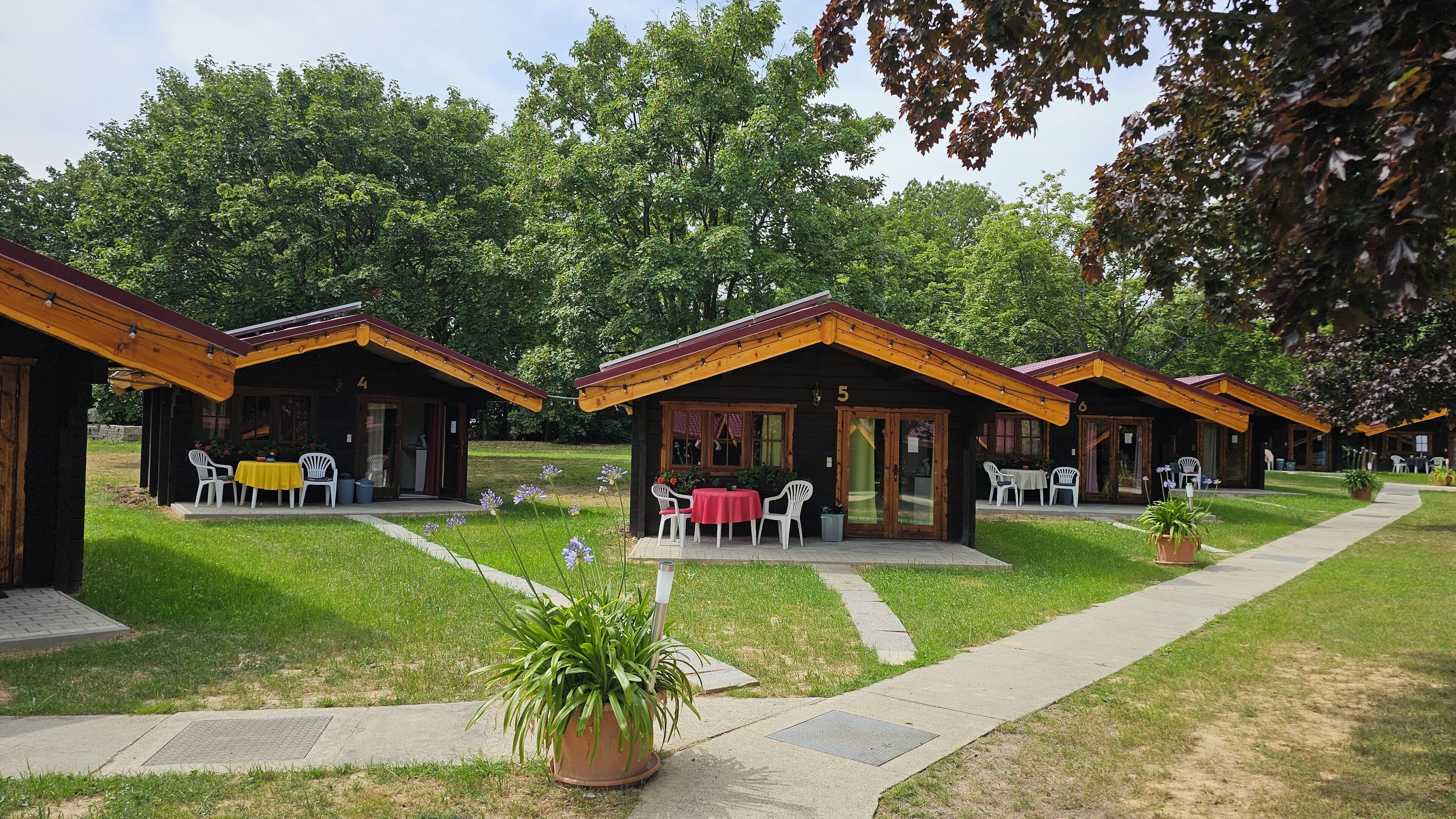 تناول الطعام بالخارج