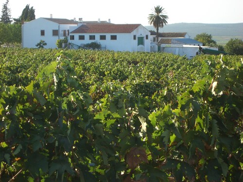 Moriles Traditional Farmhouse for 8