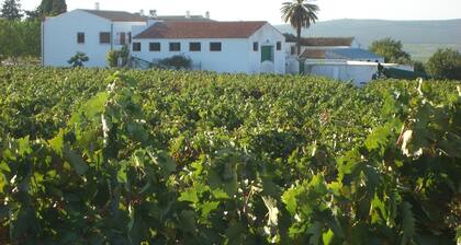 Moriles Traditional Farmhouse for 8