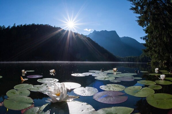 Miscellaneous - Apartment Azalea – Arrive, Feel at Home, Discover the Ötztal – Comfort in Central Oetz (Oetz)
