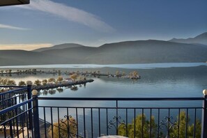 Unclassified image, 3 of 39, button