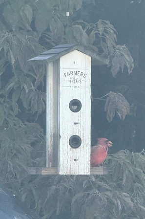 Unclassified image, 2 of 7, button - World Cup 1-bedroom available in Luxurious Foxborough Home (Foxborough)