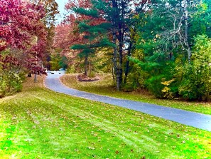 Immagine non classificata, 2 di 7, pulsante