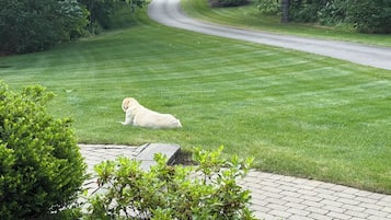 Enceinte de lâhĂ©bergement