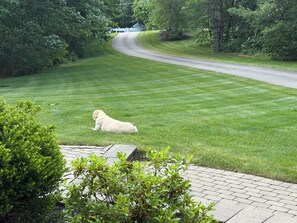 Immagine non classificata, 5 di 7, pulsante