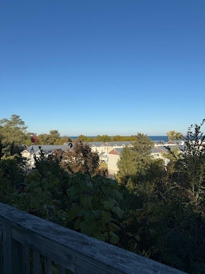 View from property - Adorable Hilltop Cottage by the Beach (Michigan City)