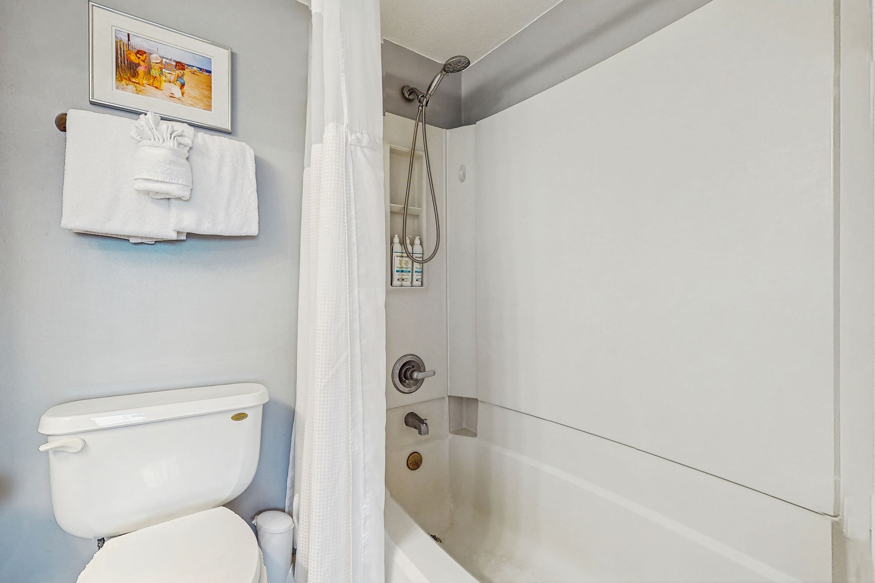 A bathroom with a toilet, a shower, and a framed picture on the wall.