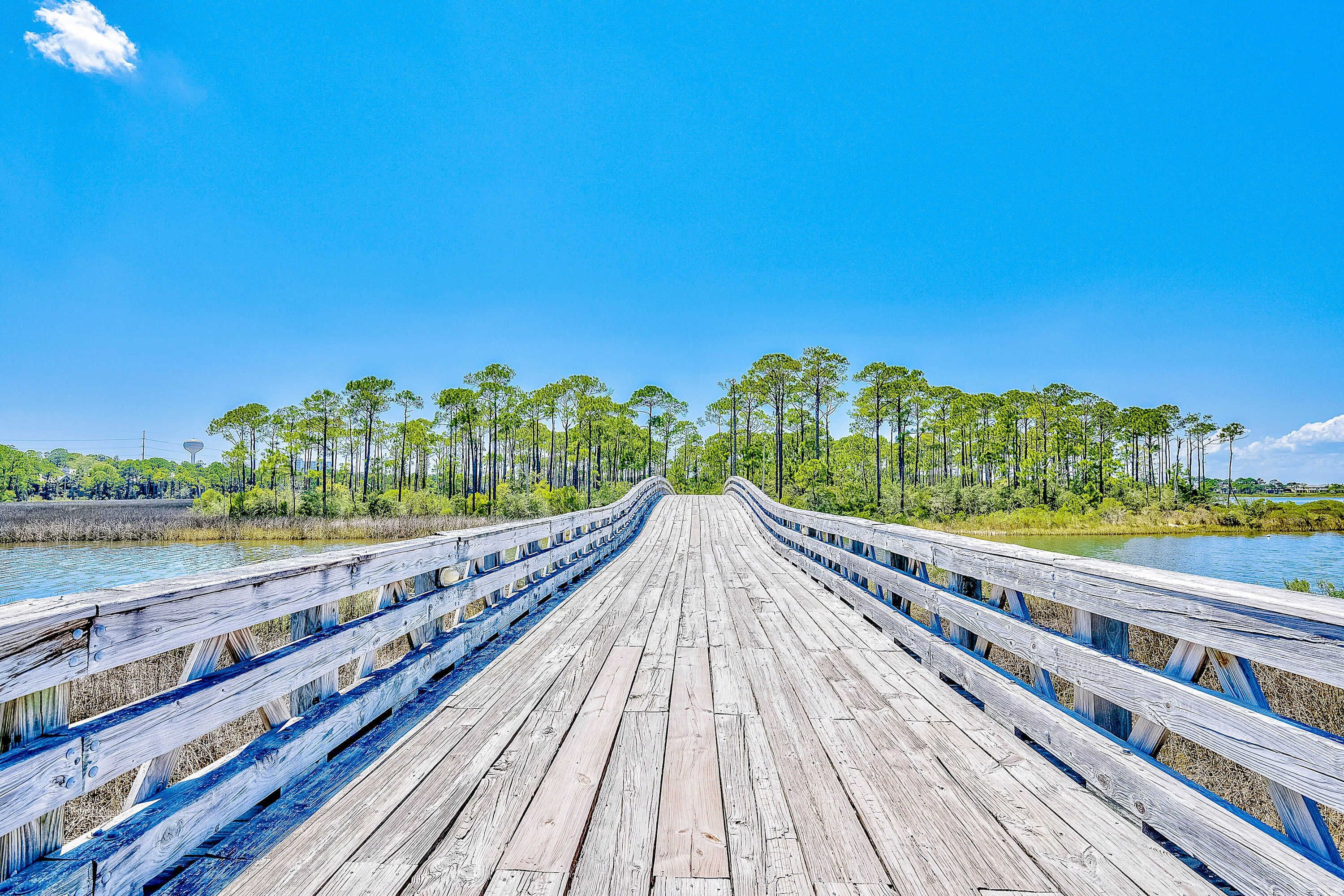 A wooden boardwalk leading to a body of water with trees on both sides.