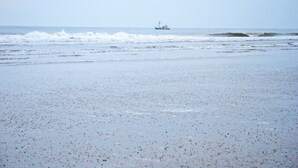 Una spiaggia con una barca all'orizzonte.