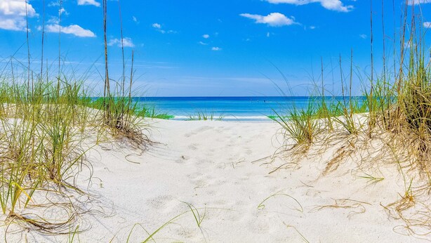 A beach path leading to the ocean with clear skies and sea. - Resort condo w/gulf view, corner balcony & shared pool/hot tub/beach access (Miramar Beach)
